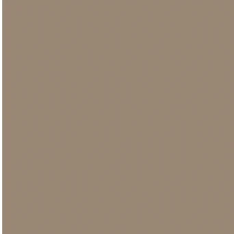 RAL 1019