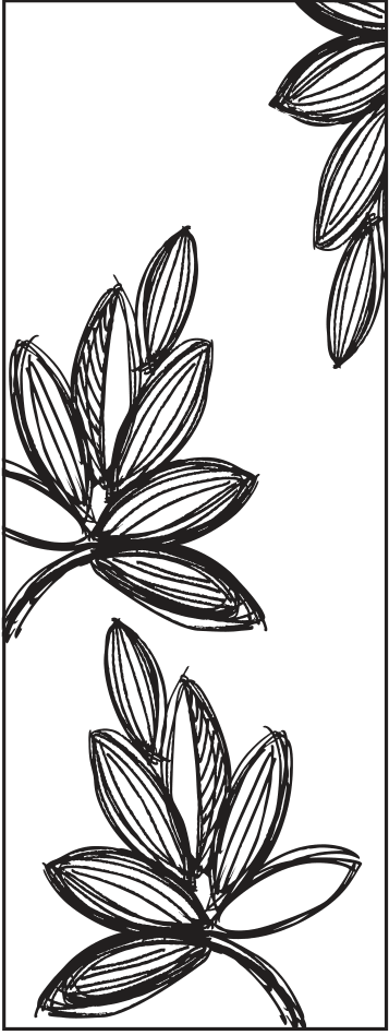 Matisse